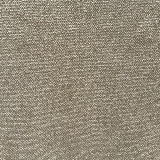 TELA PHIPPS (SESAME)