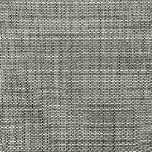 TELA DARKNESS (01 FOSSIL)