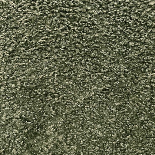 TELA ELEONA (FOREST)