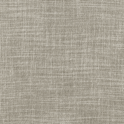 TELA FOCUS (05 HAY)