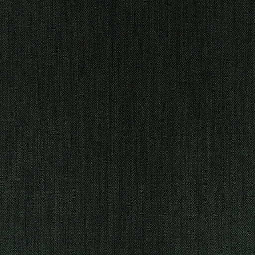 TELA NOCTURNAL (19 RAVEN)