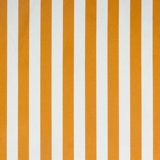 TELA AHEAD (25 PUMPKIN)