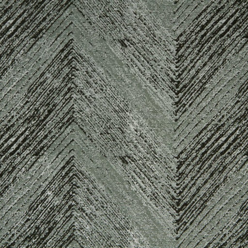 TELA ZANSKAR (FOSSIL)
